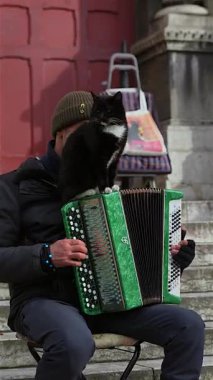 Sakin bir siyah kedi, dışarıda taş basamaklarda oturan bir sokak müzisyeni tarafından çalınan yeşil bir akordeonun üzerinde oturur. Eşsiz ve huzurlu sokak performansı anı. Paris, Fransa 04.10.2025 