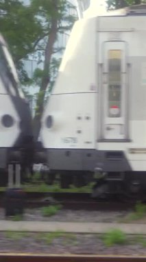 26 Temmuz 2025 'te Fransız bölgesel treni tren raylarından geçiyor.