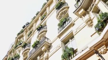 İşlenmiş demir balkonlar ve yeşil bitkilerle süslü Paris binası cephesi