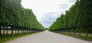 Saint Germain Fransa 'da bulutlu gökyüzünün altında simetrik sıra yeşil ağaçlarla dolu düz bir park. 