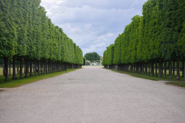 Simetrik park sokağı Saint Germain 'de dramatik bulutlu yaz gökyüzü altında budanmış yeşil ağaçlarla dolu. 