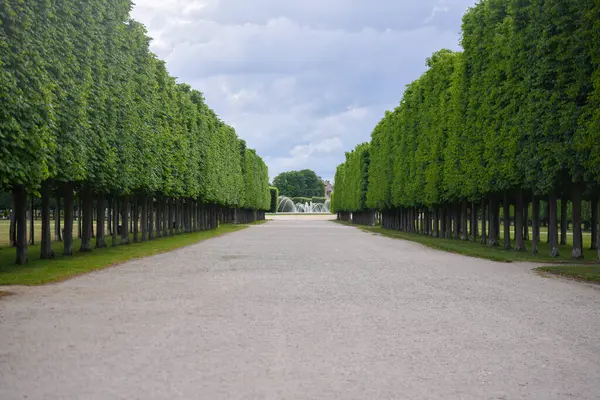 Simetrik park sokağı Saint Germain 'de dramatik bulutlu yaz gökyüzü altında budanmış yeşil ağaçlarla dolu. 