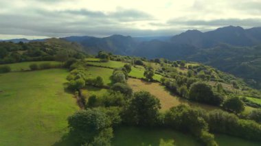 Çayırların, ağaçların ve bulutlu dağların havadan görünüşü