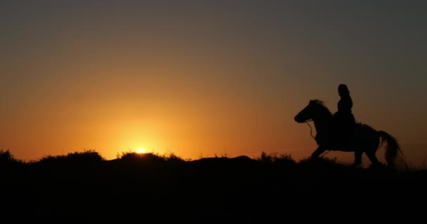 Σιλουέτα Της Γυναίκας Ιππασία Άλογο Στο Ηλιοβασίλεμα — Αρχείο Βίντεο