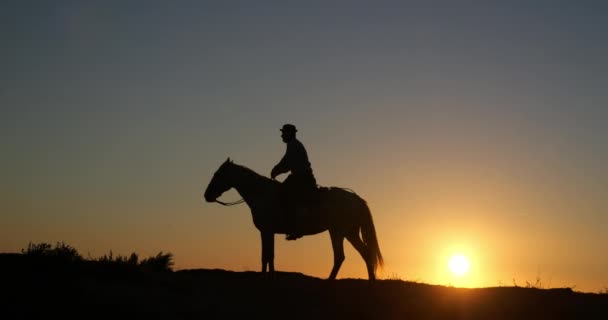 Siluet Manusia Atas Kuda Saat Matahari Terbenam — Stok Video