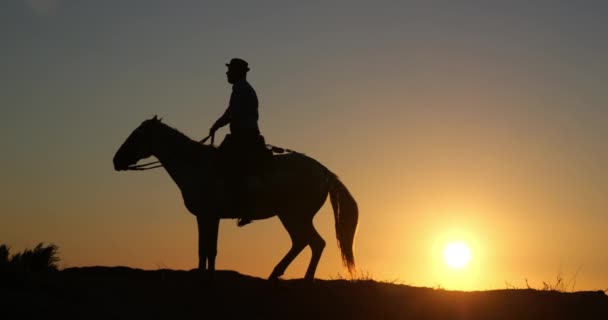 Siluet Manusia Atas Kuda Saat Matahari Terbenam — Stok Video