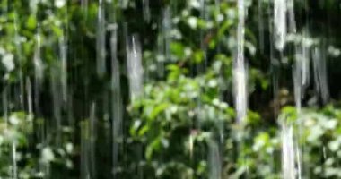 Bulanık orman arka planına düşen sular