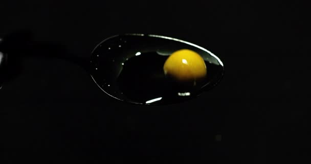 Green Olea Europaea Falling Olive Oil Black Background Slow Motion — 비디오