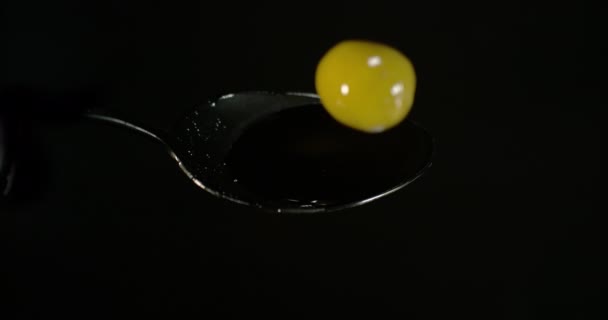 Grüne Olive Olea Europaea Fallen Auf Olivenöl Vor Schwarzem Hintergrund — Stockvideo