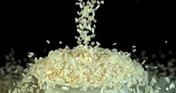 Ρύζι Μαύρο Φόντο Αργή Κίνηση — Αρχείο Βίντεο