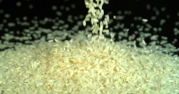 Rýže Černá Pozadí Slow Motion — Stock video