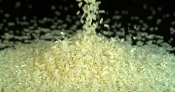 Reis Fällt Vor Schwarzem Hintergrund Zeitlupe — Stockvideo
