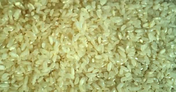 Reis Fällt Zeitlupe — Stockvideo