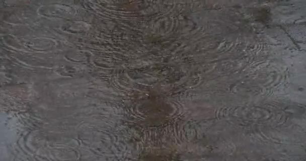 フランス北東部アイシンのポンタバート村付近の上昇する水を示す洪水道路 リアルタイム4K — ストック動画