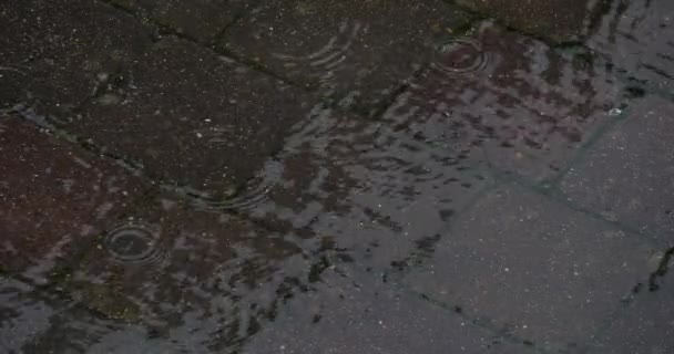 Überschwemmte Straße Die Steigende Wasserstände Zeigt Der Nähe Des Dorfes — Stockvideo