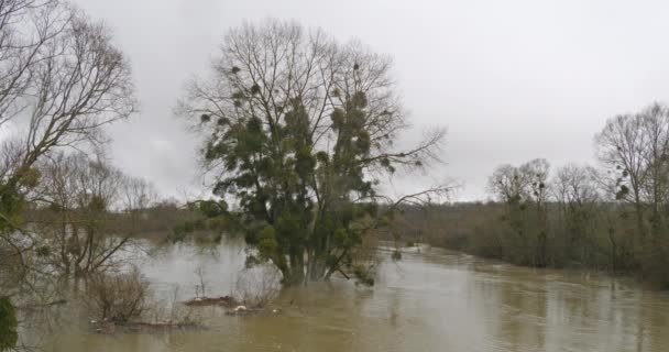 Затоплений Пейзаж Зростанням Вод Біля Села Понтаверт Північному Сході Франції — стокове відео