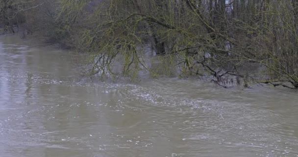 Затопленный Пейзаж Показывающий Поднимающиеся Воды Недалеко Деревни Понтаверт Эне Северо — стоковое видео