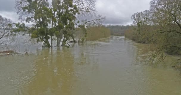 フランス北東部アイシンのポンタバート村付近の上昇する水を示す洪水の風景 リアルタイム4K — ストック動画