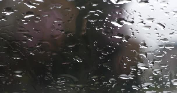 フランス北東部ポンタール村付近のアイシン島の自動車のフロントガラスに降雨量 4Kリアルタイム — ストック動画