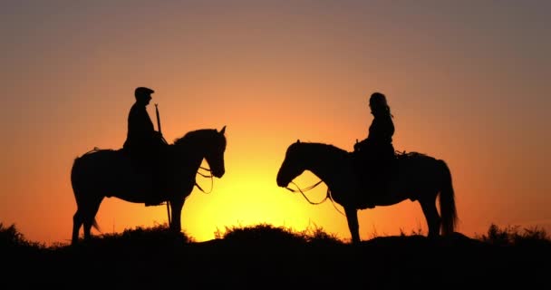Muž Žena Camargue Nebo Camarguais Horse Dunách Při Východu Slunce — Stock video