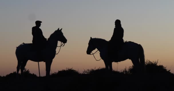 Man Och Kvinna Camargue Eller Camarguais Horse Dunes Sunrise Manadier — Stockvideo