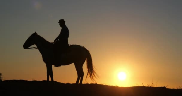 Mężczyzna Swoim Koniu Camargue Kicking Wschodzie Słońca Manadier Saintes Maries — Wideo stockowe