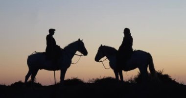 Camarguais Horse at the Dunes at the Sunrise, Manadier in the Camargue in the South East of France, Les Saintes Maries de la Mer, Real Time 4K