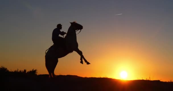 Mężczyzna Swoim Koniu Camargue Kicking Wschodzie Słońca Manadier Saintes Maries — Wideo stockowe