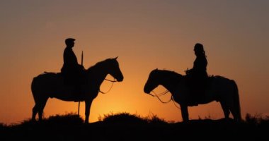 Camarguais Horse at the Dunes at the Sunrise, Manadier in the Camargue in the South East of France, Les Saintes Maries de la Mer, Real Time 4K