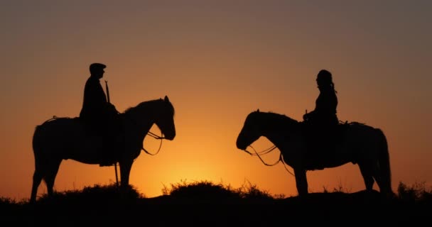 Man Woman Camargue Camarguais Horse Dunes Sunrise Manadier Camargue South — Stock Video