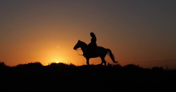 Kobieta Swoim Koniu Camargue Który Galopuje Wschodzie Słońca Manadier Saintes — Wideo stockowe