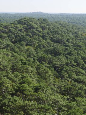 Arcachon Havzası 'nın girişindeki Gümüş Sahil' deki Landes de Gascogne ormanının kıyısındaki Pilat Dune veya Pyla Dune ormanları Avrupa 'daki en yüksek kum tepesidir.
