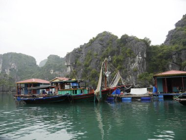 Vietnam, Quang Ninh Bölgesi, Halong Körfezi veya Ha Long Körfezi Unesco Dünya Mirası Bölgesi, Vung Vieng Balıkçı Köyü