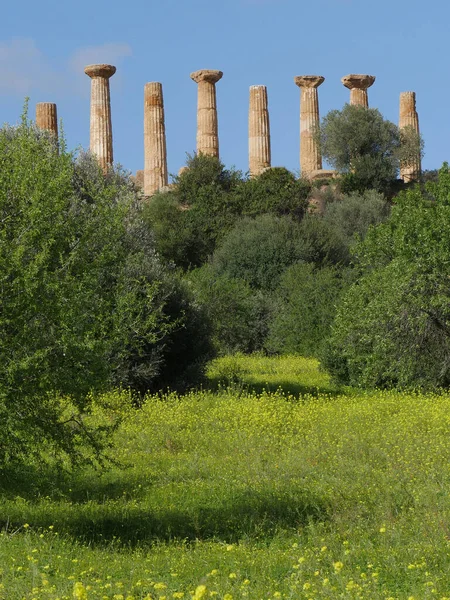 意大利西西里圣殿谷 Agrigento Hercules或Tempio Ercole圣殿 — 图库照片
