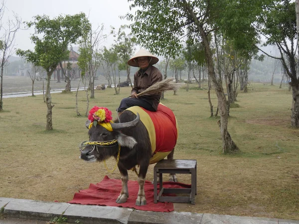 베트남 황제의 성전의 — 스톡 사진