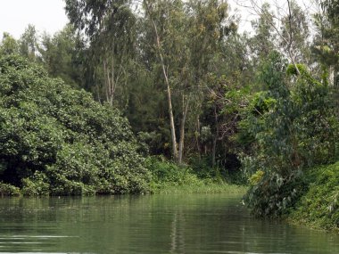 Vietnam, Quang Nam Eyaleti, Hoi An Şehri, Eski Şehir Unesco tarafından Dünya Mirası sahasında listelendi, Thu Bon Nehri.