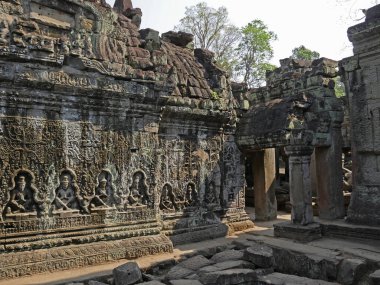 Preah Khan Tapınağı, Siem Reap Eyaleti, Angkor Tapınağı Kompleks Sitesi 1192 yılında Unesco tarafından Dünya Mirası olarak listelendi, 1191 yılında Kral Jayavarman VII, Kamboçya tarafından inşa edildi.