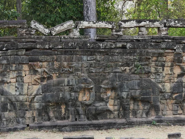 Элефант Барельеф Провинция Сиемреап Храм Ангкора Внесенный Юнеско Список Всемирного — стоковое фото