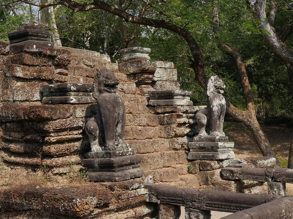 Preah Khan Tapınağı Siem Reap Eyaleti Angkor Tapınağı Kompleks Sitesi — Stok fotoğraf
