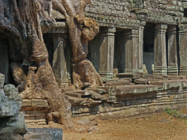 Храм Преа Хана Провінція Сіємреап Комплекс Храмів Ангкору Занесений Списку — стокове фото