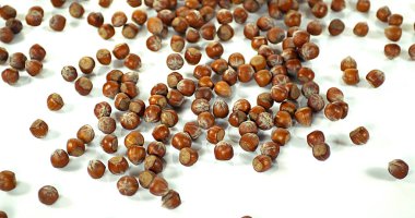 Fındık, Corylus Avellana, Beyaz Arkaplan 'a Düşen Kuru Meyveler