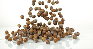 Fındık, Corylus Avellana, Beyaz Arkaplan 'a Düşen Kuru Meyveler