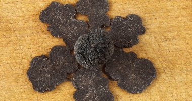 Perigord Truffle, tuber melanosporum, mantarlar