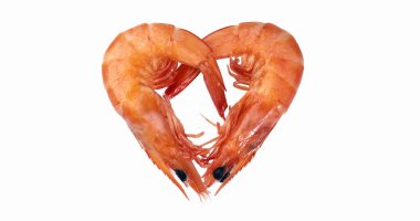 Taze Karidesler, Beyaz Arkaplan Karşısında Palamut Serratus.