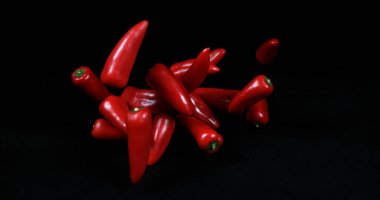 Red Sweet Pepper, capsicum annum, Sebzeler Kara Arkaplan 'a düşüyor.