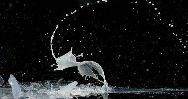 Kara Arkaplan 'a Bir Şise Süt Düşüyor ve Patlıyor