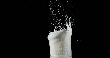 Beyaz Arkaplanda Bir bardak Süt Patlıyor