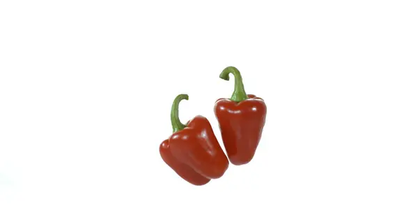 Red Sweet Pepper Capsicum Annuum Vegetable Falling Breaking White Background — Stock Photo, Image