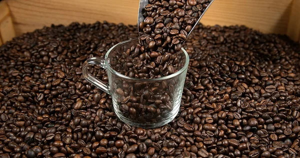 Kaffeebohnen Fallen Aus Nächster Nähe — Stockfoto