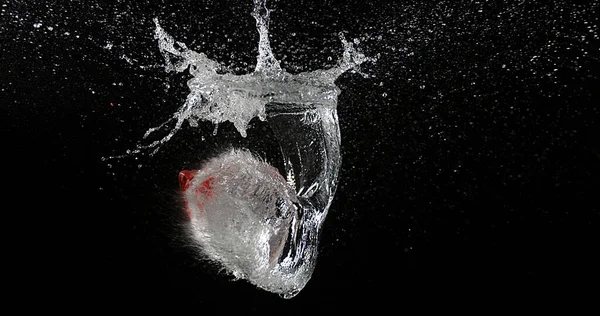 Shot Breaking Water Gefüllten Roten Luftballon — Stockfoto